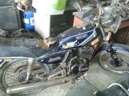 YAMAHA CONCORD.