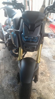 MSX 125 SF ตัวใหม่ รถออก 9กันยายน 59