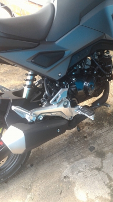 MSX 125 SF ตัวใหม่ รถออก 9กันยายน 59