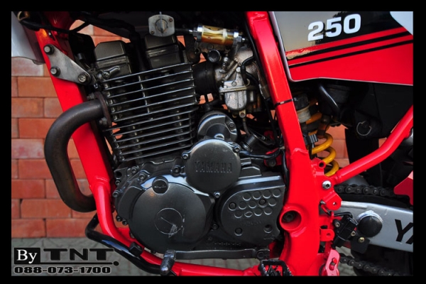 &lt;TNT&gt;ขาย YAMAHA TTR 250 cc.( ENDURO ) 1สูบ ปี95 /ทะเบียนแท้/..สวยๆ&gt;&gt;&gt;คับ