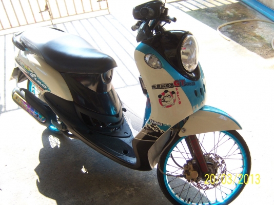 ขาย ฟีโน่ สวยๆ ครับ