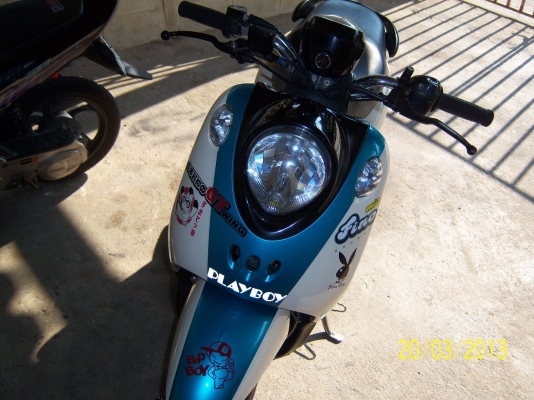 ขาย ฟีโน่ สวยๆ ครับ