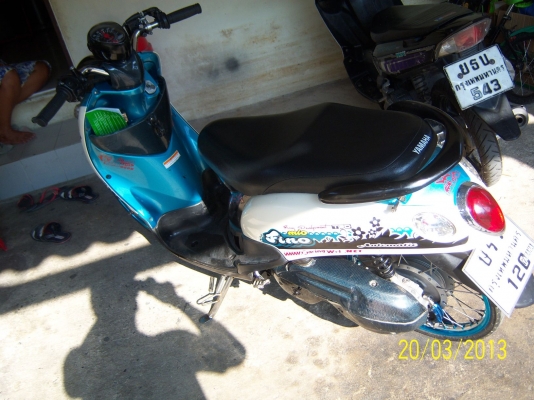 ขาย ฟีโน่ สวยๆ ครับ