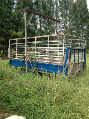 ขายกะบะโตโยต้าไดน่า