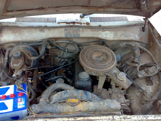 ขายช้างเก่าๆสักตัว ช่วงสั้น