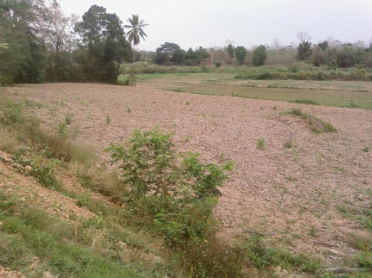 ที่ดินติดถนนแพร่น่าน