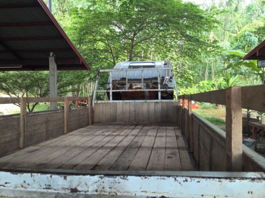 Isuzu NKR58LX 110แรง ห้างแท้ปี38 เล่มพร้อม ภาษีเต็ม