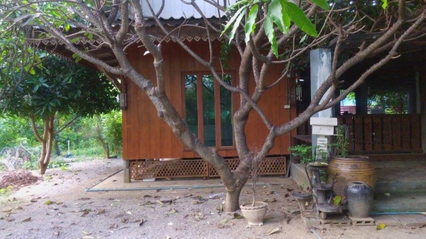 ขายบ้านพร้อมที่ดิน อำเภอท่ามะกา ต.หวายเหนียว กาญจนบุรี เนื้อที่ 154 ตร.ว.