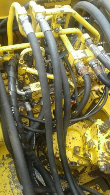 ขายโคมัสสุ120~5 ขายโคมัสสุ120~5