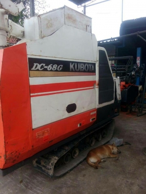 ขายรถเกี่ยวข้าวคูโบต้า DC68 ช่วงล่างแทรคใหม่ ตู้ตะแกรงใหม่ พร้อมลงทำงาน เครื่องเดิม