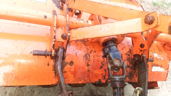 โรตารี่ตราช้าง