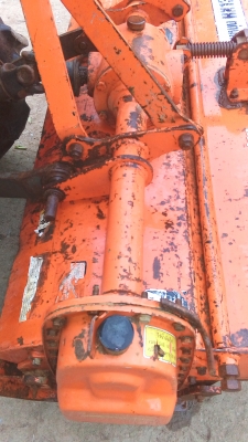 โรตารี่ตราช้าง