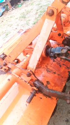 โรตารี่ตราช้าง