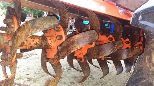 โรตารี่ตราช้าง