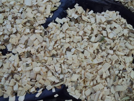 เครื่องสับไม้ ราคา 180000 สถาพไหม่ พร้อมเครื่องยนต์ isuzu 90 แรงม้า (เครื่องยนต์เก่านอก) พร้อมใช้งาน ขนาด 2-6 ตัน/ชั่วโมง... ราคา 180,000 ไม่เอาเครื่องยนต์ลดราคาให้ครับ อยู่แถว หนองกี่ นางรอง จ. บุรีรัมย์ ติดต่อ พล 0640868812 , 0804873797 เครื่องสับไม้ ราคา 180000 สถาพไหม่ พร้อมเครื่องยนต์ isuzu 90 แรงม้า (เครื่องยนต์เก่านอก) พร้อมใช้งาน ขนาด 2-6 ตัน/ชั่วโมง... ราคา 180,000 ไม่เอาเครื่องยนต์ลดราคาให้ครับ อยู่แถว หนองกี่ นางรอง จ. บุรีรัมย์ ติดต่อ พล 0640868812 , 0804873797