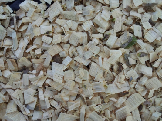 เครื่องสับไม้ ราคา 180000 สถาพไหม่ พร้อมเครื่องยนต์ isuzu 90 แรงม้า (เครื่องยนต์เก่านอก) พร้อมใช้งาน ขนาด 2-6 ตัน/ชั่วโมง... ราคา 180,000 ไม่เอาเครื่องยนต์ลดราคาให้ครับ อยู่แถว หนองกี่ นางรอง จ. บุรีรัมย์ ติดต่อ พล 0640868812 , 0804873797 เครื่องสับไม้ ราคา 180000 สถาพไหม่ พร้อมเครื่องยนต์ isuzu 90 แรงม้า (เครื่องยนต์เก่านอก) พร้อมใช้งาน ขนาด 2-6 ตัน/ชั่วโมง... ราคา 180,000 ไม่เอาเครื่องยนต์ลดราคาให้ครับ อยู่แถว หนองกี่ นางรอง จ. บุรีรัมย์ ติดต่อ พล 0640868812 , 0804873797