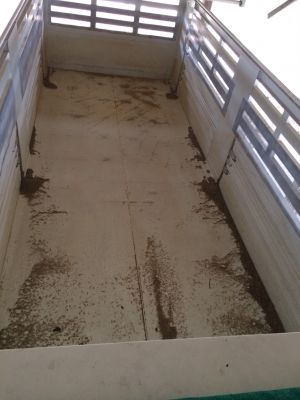 พ่วง 22 ล้อ ISUZU FXZ360 ไมล์ 2,000 กม.( สองพัน กม.กว่า ๆ ) รถ 3 เดือน สค. 59 กระบะสามมิตรแท้ ดั้มส์ ซื้อคันนี้ประหยัดกว่ารถใหม่เยอะ