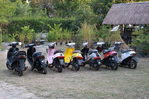 ขายเหมารถป๊อป ทั้งหมด 3คัน