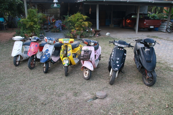 ขายเหมารถป๊อป ทั้งหมด 3คัน