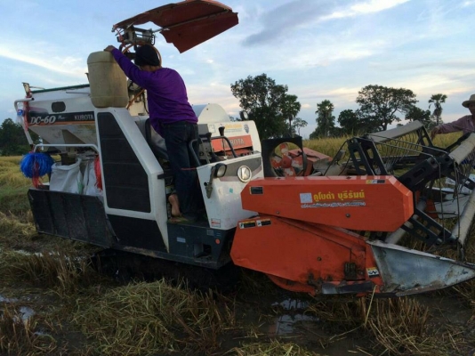 ขายรถเกี่ยวข้าว KUBOTA DC60 จดทะเบียน2553 รถสวยสภาพดี พร้อมใช้งาน เอกสารพร้อมโอน ราคา250,000 สนใจโทร 090-8588220คุณนะ 093-3258446คุณบิว หรือเข้าดูสินค้าอื่นๆได้ที่ www.narong2truck.com หรือ www.truck.in.th/498 หรือเพจFacebook ณรงค์ ซื้อขายรถมือสอง (เว็บไซ