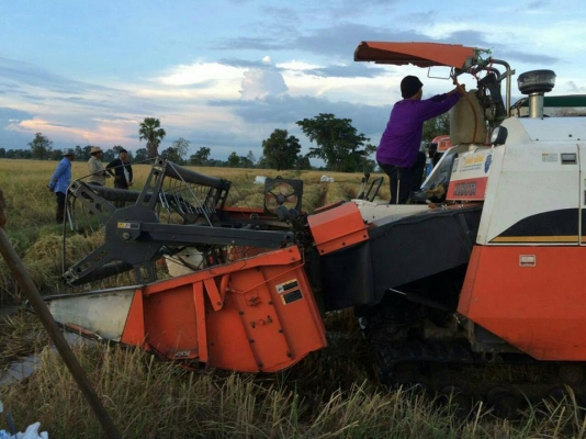 ขายรถเกี่ยวข้าว KUBOTA DC60 จดทะเบียน2553 รถสวยสภาพดี พร้อมใช้งาน เอกสารพร้อมโอน ราคา250,000 สนใจโทร 090-8588220คุณนะ 093-3258446คุณบิว หรือเข้าดูสินค้าอื่นๆได้ที่ www.narong2truck.com หรือ www.truck.in.th/498 หรือเพจFacebook ณรงค์ ซื้อขายรถมือสอง (เว็บไซ