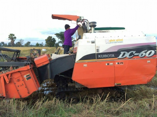 ขายรถเกี่ยวข้าว KUBOTA DC60 จดทะเบียน2553 รถสวยสภาพดี พร้อมใช้งาน เอกสารพร้อมโอน ราคา250,000 สนใจโทร 090-8588220คุณนะ 093-3258446คุณบิว หรือเข้าดูสินค้าอื่นๆได้ที่ www.narong2truck.com หรือ www.truck.in.th/498 หรือเพจFacebook ณรงค์ ซื้อขายรถมือสอง (เว็บไซ