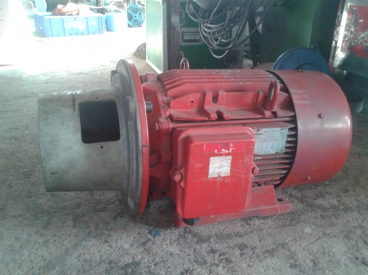 มอเตอร์หน้าแปลนพร้อมหัวหมู