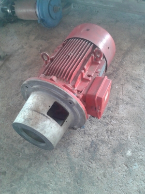 มอเตอร์หน้าแปลนพร้อมหัวหมู