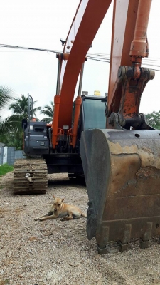 ขาย!! >>> Hitachi Zx200 รุ่น 3 <<< รถสวยพร้อมใช้งาน เอกสารครบพร้อม ราคา 1,530,000 บาท ขาย!! >>> Hitachi Zx200 รุ่น 3 <<< รถสวยพร้อมใช้งาน เอกสารครบพร้อม ราคา 1,530,000 บาท