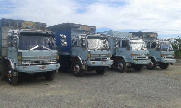 ขายรถสิบล้อ อีซุซุ 195 เครื่อง 260แรงม้า (ดั๊ม3มิต) 2เพลา ขายรถสิบล้อ อีซุซุ 195 เครื่อง 260แรงม้า (ดั๊ม3มิต) 2เพลา