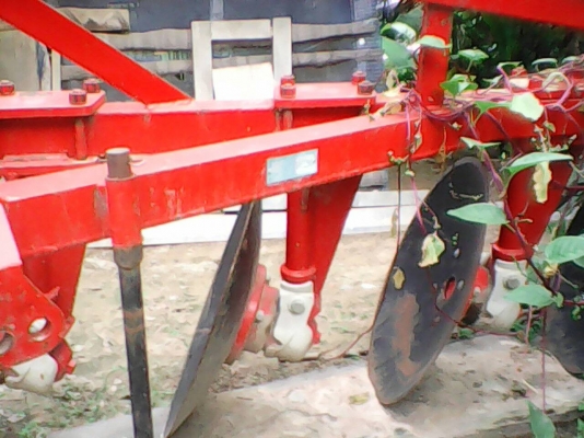 ขายพาล4วิเชียรสภาพสวยใบ22นิ้ว ขายพาล4วิเชียรสภาพสวยใบ22นิ้ว