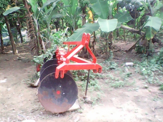 ขายพาล4วิเชียรสภาพสวยใบ22นิ้ว ขายพาล4วิเชียรสภาพสวยใบ22นิ้ว