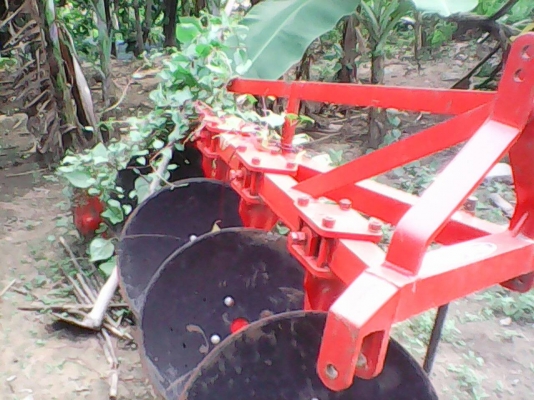 ขายพาล4วิเชียรสภาพสวยใบ22นิ้ว