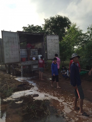 ขายปลานิลปลาทับทิมแปลงเพศให้วัคซีนก่อนส่งทุกตัว มีจำนวนมาก