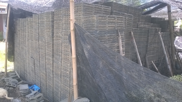 รถดำนา คูโบต้า นั่งขับ 6แถว  NSPU-68c