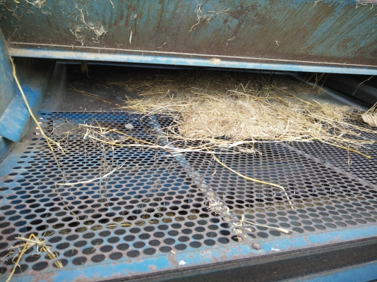 ขาย 6ล้อ bu พร้อมเครื่อง isuzu 100 แรง ตู้เกษตร 5ฟุต