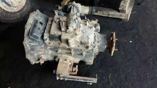 ขายเกียร์ ho