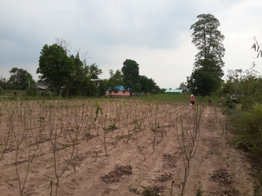 ทางเข้าที่ดินตรงข้ามที่ทำการกองทุนหมู่บ้านหนองสองห้อง ตำบล บ้านช่อง อ.พนมสารคาม จ.ฉะเชิงเทรา ทางเข้าที่ดินตรงข้ามที่ทำการกองทุนหมู่บ้านหนองสองห้อง ตำบล บ้านช่อง อ.พนมสารคาม จ.ฉะเชิงเทรา