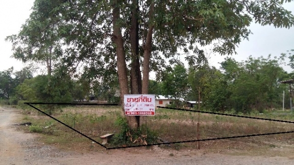 ทางเข้าที่ดินตรงข้ามที่ทำการกองทุนหมู่บ้านหนองสองห้อง ตำบล บ้านช่อง อ.พนมสารคาม จ.ฉะเชิงเทรา