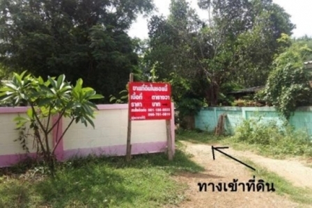 ขายที่ดินเปล่า ข้างโรงเรียนชุมชนบ้านมั่ว ต.ทุ่งงาม อ.เสริมงาม จ.ลำปาง
