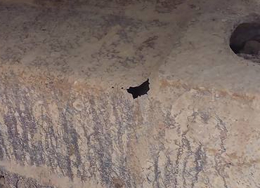 **470,000 บ.ต่อรอง/// แบคโฮ KOMATSU PC200-5 คอนโทรลยาว ไฟครบ เครื่อง+ปั้ม เดิม แรงดี บูมอาร์มดี บุ้งกี๋ได้ เอวแน่น ช่วงล่าง70\% โซ่ดีแทร็กครบ เฟรมพอได้ ใช้งานปกติ พร้อมใช้ เอกสารใบแจ้งจำหน่าย ขายตามสภาพ **ขาย KOMATSU PC200-5 แบคโฮพิมพ์นิยม สภาพดี พร้อมใช้