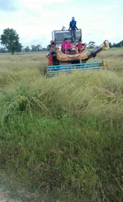 ขายรถเกี่ยวข้าวเกษตร ไอ้หนุ่มไวไฟ ปี55/jo8c 260โบว์ ช่วงล่าง12 สภาพเกี่ยวทุกวัน เอกสารครบ ปั๊ม23แฝด ลูเลอร์11ลูก ขายรถเกี่ยวข้าวเกษตร ไอ้หนุ่มไวไฟ ปี55/jo8c 260โบว์ ช่วงล่าง12 สภาพเกี่ยวทุกวัน เอกสารครบ ปั๊ม23แฝด ลูเลอร์11ลูก