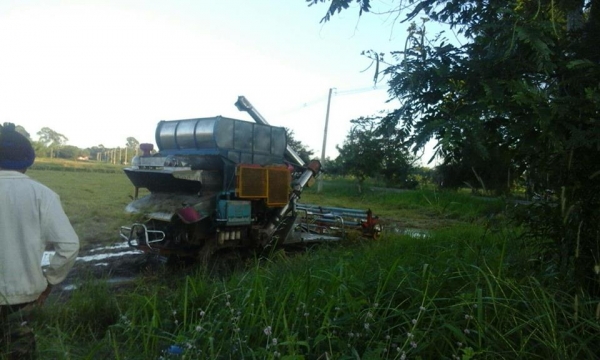 ขายรถเกี่ยวข้าว ส.ทวี ช่วงล่าง12ปั๊ม22เครื่อง195เทอร์โบว์ อุ้ม2.5ตัน รถกำลังทำงาน ขายรถเกี่ยวข้าว ส.ทวี ช่วงล่าง12ปั๊ม22เครื่อง195เทอร์โบว์ อุ้ม2.5ตัน รถกำลังทำงาน