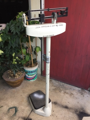 กิโลชั่งน้ำหนักแบบยืน ยี่ห้อ SECA made in Germany กิโลชั่งน้ำหนักแบบยืน ยี่ห้อ SECA made in Germany