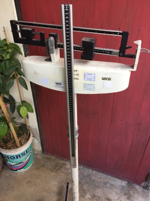 กิโลชั่งน้ำหนักแบบยืน ยี่ห้อ SECA made in Germany กิโลชั่งน้ำหนักแบบยืน ยี่ห้อ SECA made in Germany