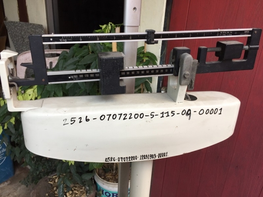 กิโลชั่งน้ำหนักแบบยืน ยี่ห้อ SECA made in Germany กิโลชั่งน้ำหนักแบบยืน ยี่ห้อ SECA made in Germany