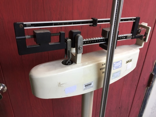 กิโลชั่งน้ำหนักแบบยืน ยี่ห้อ SECA made in Germany กิโลชั่งน้ำหนักแบบยืน ยี่ห้อ SECA made in Germany