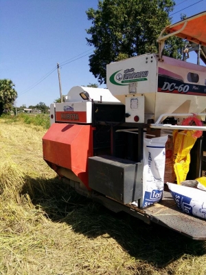 ขายรถเกี่ยวข้าว KUBOTA DC60 รถสวยสภาพพร้อมใช้งาน เอกสารเล่มทะเบียนพร้อมโอน ราคา240,000 สนใจโทร 090-8588220คุณนะ 093-3258446คุณบิว หรือเข้าดูสินค้าอื่นๆได้ที่ www.narong2truck.com หรือ www.truck.in.th/498 หรือเพจFacebook ณรงค์ ซื้อขายรถมือสอง (เว็บไซต์ส่วน