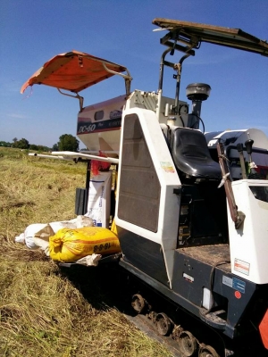 ขายรถเกี่ยวข้าว KUBOTA DC60 รถสวยสภาพพร้อมใช้งาน เอกสารเล่มทะเบียนพร้อมโอน ราคา240,000 สนใจโทร 090-8588220คุณนะ 093-3258446คุณบิว หรือเข้าดูสินค้าอื่นๆได้ที่ www.narong2truck.com หรือ www.truck.in.th/498 หรือเพจFacebook ณรงค์ ซื้อขายรถมือสอง (เว็บไซต์ส่วน