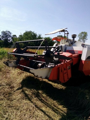 ขายรถเกี่ยวข้าว KUBOTA DC60 รถสวยสภาพพร้อมใช้งาน เอกสารเล่มทะเบียนพร้อมโอน ราคา240,000 สนใจโทร 090-8588220คุณนะ 093-3258446คุณบิว หรือเข้าดูสินค้าอื่นๆได้ที่ www.narong2truck.com หรือ www.truck.in.th/498 หรือเพจFacebook ณรงค์ ซื้อขายรถมือสอง (เว็บไซต์ส่วน